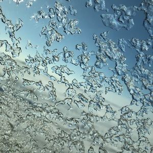 Meet your Posher, Maysie